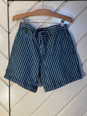 Banana Republic Navy and White Vertical Stripe Flat-Front Shorts